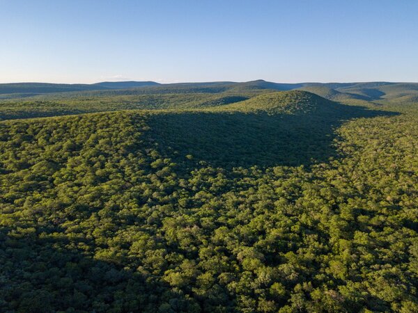 Paraguay presentará nuevo Inventario Forestal y apunta a liderar monitoreo ambiental