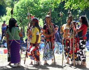 Tierras ancestrales indígenas: “La propiedad privada se tiene que respetar”, dice el Indi - Nacionales - ABC Color