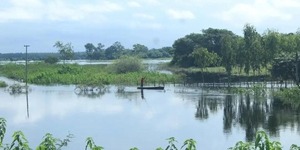 Bajo Chaco, Alto Paraguay, Ñeembucú, Central y Cordillera, con niveles inusuales de precipitaciones