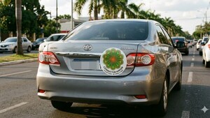 Ñandutí en el auto: Diputados aprueban distintivo para mayores de 65