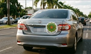 Diputados aprueban distintivo de ñandutí para conductores mayores