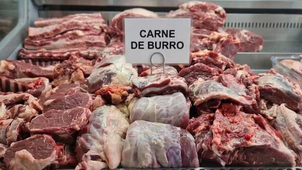 ¿Asadito de burro? Es más sano y sabe igualito al de vaca, según nutricionista