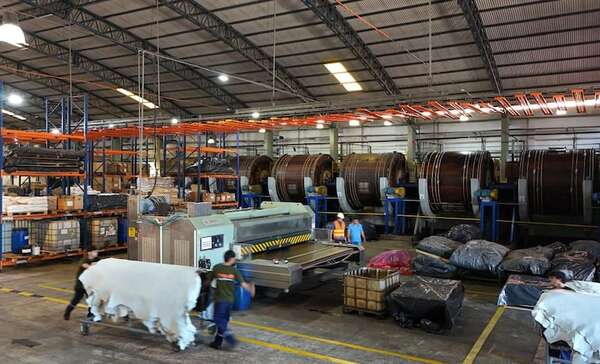 Caen acuerdos con marcas premium por polémica sobre el cuero paraguayo e industria enfrenta pérdidas - Economía - ABC Color
