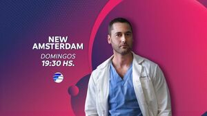 New Amsterdam: Un hospital de esperanza.