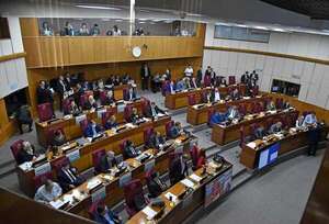 ¡Jubilación VIP sin fin!: Senado lleva a “foja cero” el tratamiento y siguen los privilegios - Política - ABC Color