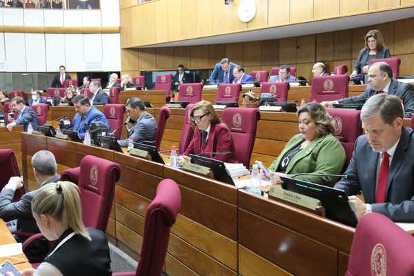 Cámara de Senadores otorgó permiso a Hernán Rivas - trece