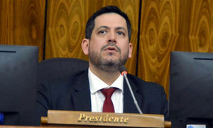 Diputados colorados oficializan propuesta para que Latorre sea vice de Alliana - OviedoPress