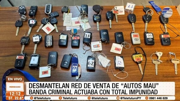 Desmantelan red de ventas de autos mau