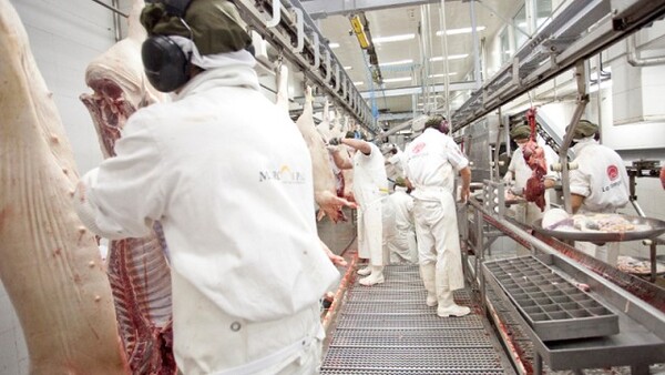 Habilitan a frigoríficos nacionales para exportar menudencias porcinas frescas a la Argentina