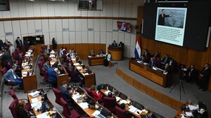 Plantean 4 periodos para jubilación vip y, ante la falta de acuerdo, Senado posterga