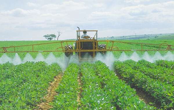 Ingenieros agrónomos rechazan designación de abogado para dirigir proyecto del MAG - Nacionales - ABC Color