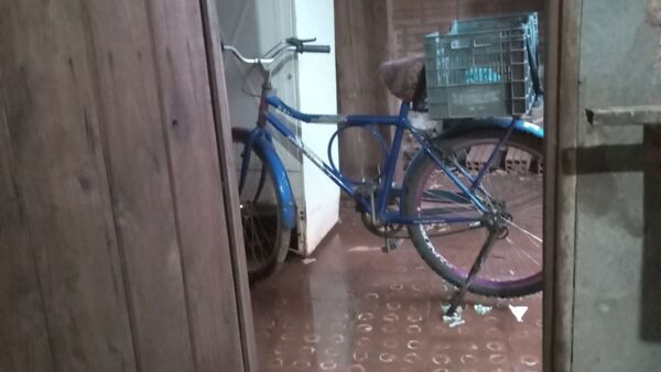 Le robaron su bici a “Ña Nena” y ahora no puede salir a ganarse el pan