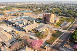 La fórmula menonita: de la sociología hacia la eficiencia económica - Negocios - ABC Color