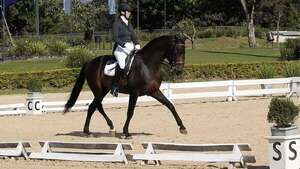 Hipismo: Adiestramiento Ránking FEDEPA 2026 con su primera cita - Polideportivo - ABC Color