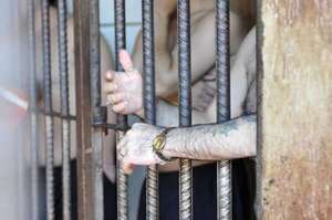 Cierran cárcel de Concepción por una infección que circula entre reclusos - Policiales - ABC Color