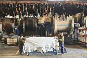 “Quema de marca país”: sector del cuero denuncia chantaje de ONGs ante el mercado europeo - Economía - ABC Color