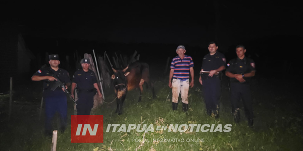 RECUPERAN ANIMAL VACUNO TRAS RASTRILLAJE EN ALTO VERÁ