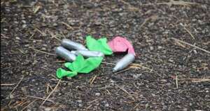 La Nación / “Gas de la risa” genera preocupación en Francia