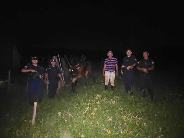 Frustran nuevo caso de abigeato en Alto Verá y recuperan vacuno hurtado
