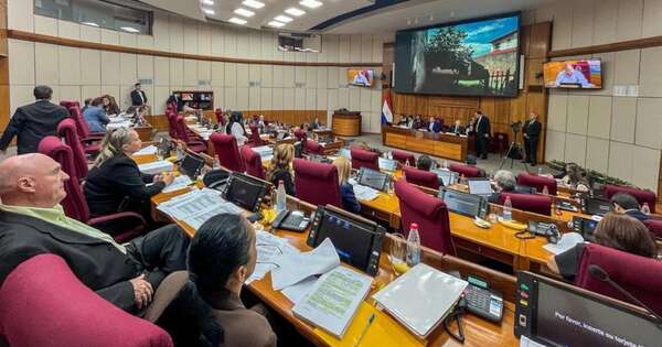 La Nación / Tratamiento de la Caja Parlamentaria se pospone