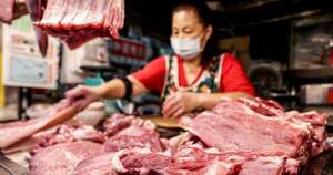 La Nación / Argentina habilita su mercado a la carne porcina paraguaya