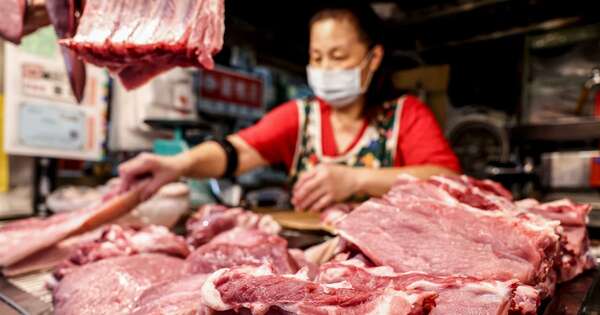 La Nación / Argentina habilita su mercado a la carne porcina paraguaya