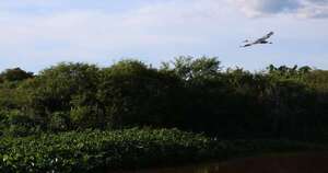 La Nación / Inventario Forestal Nacional 2026: Infona evidencia rol de los bosques en Paraguay