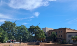 Tiempo estable y cálido marcará la jornada de este jueves en Coronel Oviedo - OviedoPress