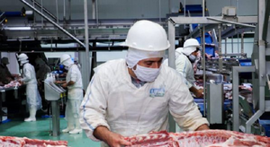 Senacsa anuncia habilitación de frigoríficos para exportar carne porcina a Argentina - Noticiero Paraguay