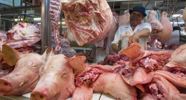 Senacsa anuncia habilitación de frigoríficos para exportar carne porcina a Argentina