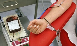 FENOB UNA desarrolla jornada de donación de sangre como parte de su programa de extensión universitaria - OviedoPress