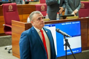 Liseras no teme estar en el Senado de manera transitoria - ADN Digital