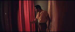 Día del Libro: las obras que están pegando el salto a la pantalla en este 2026 - Literatura - ABC Color