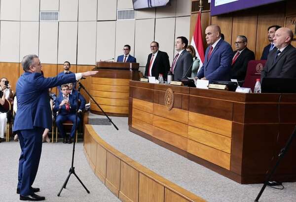 Juramento de Liseras en Senado es inconstitucional por incompatibilidad, afirma constitucionalista - Política - ABC Color