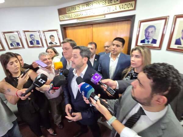 Guerra Cartista: Gobernadores y diputados contra apuro de elegir al “carne de milanesa” Baruja - Política - ABC Color