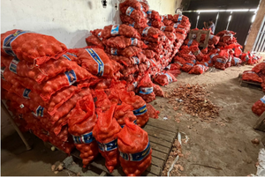 DNIT incauta más de 12 toneladas de cebolla y papa
