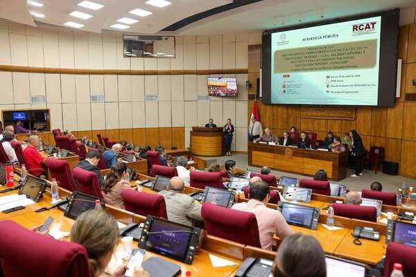 Lamentan ausencia del sector empresarial en debate sobre el ajuste del salario mínimo - Política - ABC Color