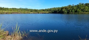 Condenan a tres hombres por delitos ambientales cometidos en reserva de la ANDE - ADN Digital