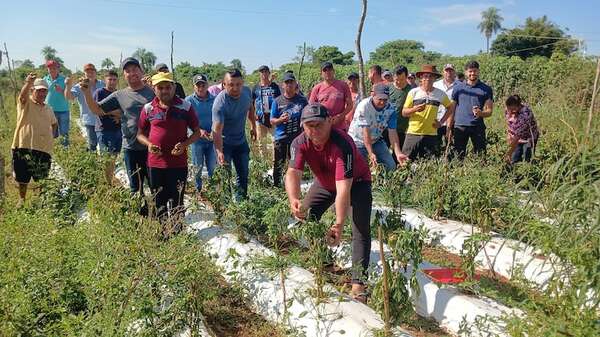Productor vuelve a cuestionar duramente al ministro Carlos Giménez ante el abandono del MAG - Nacionales - ABC Color