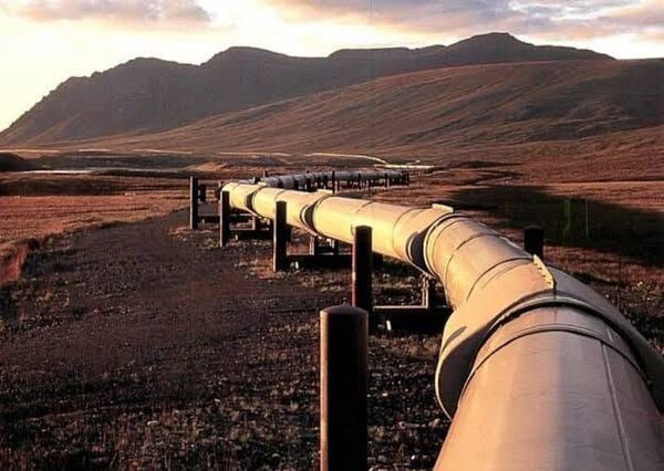 Paraguay y Argentina aceleran plan para el Gasoducto Bioceánico y buscan atraer capital privado - 5Días