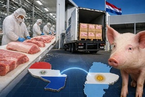 UPISA impulsa el ingreso de la carne porcina paraguaya al mercado argentino - 5Días