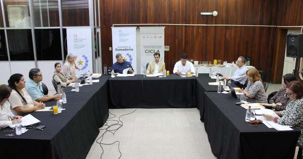 La Nación / Cadena láctea avanza en planificación estratégica y fortalecimiento con el sector público