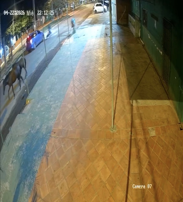 Motociclista sufre lesiones graves tras choque contra un automóvil en Concepción - Concepción al Día