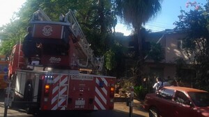 Obrero resulta herido durante poda de árboles en Ciudad del Este