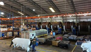 Industria del cuero denuncia campaña internacional y advierte: “Están quemando la marca país”