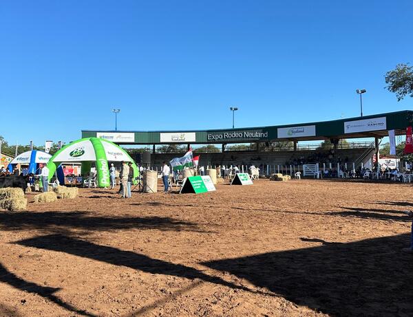 Expo Rodeo Neuland con fuerte oferta genética y remates claves en el marco de la Nacional Brahman