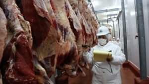 Cuota Hilton mejoraría acceso de la carne paraguaya a Europa, afirman