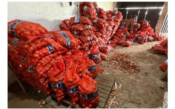 Popular / DNIT incautó casi 13 mil kilos de cebolla y papa