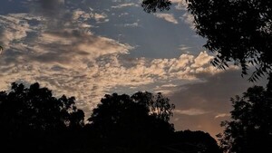 Viernes cálido a caluroso con lluvias puntuales en el sur del país