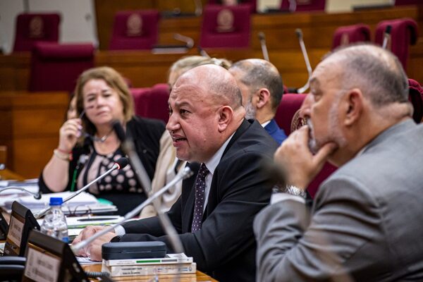 Comitiva de la EBY participó de audiencia pública en Diputados